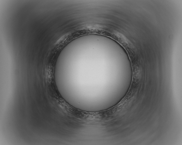 X0000113041110200909171515