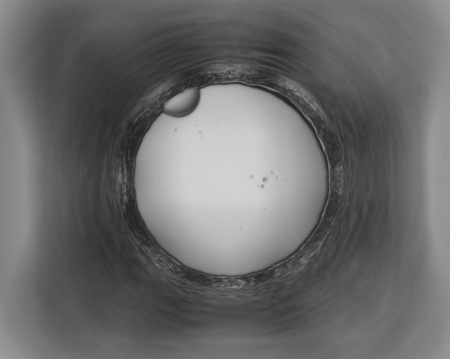 X0000113041111200909171515