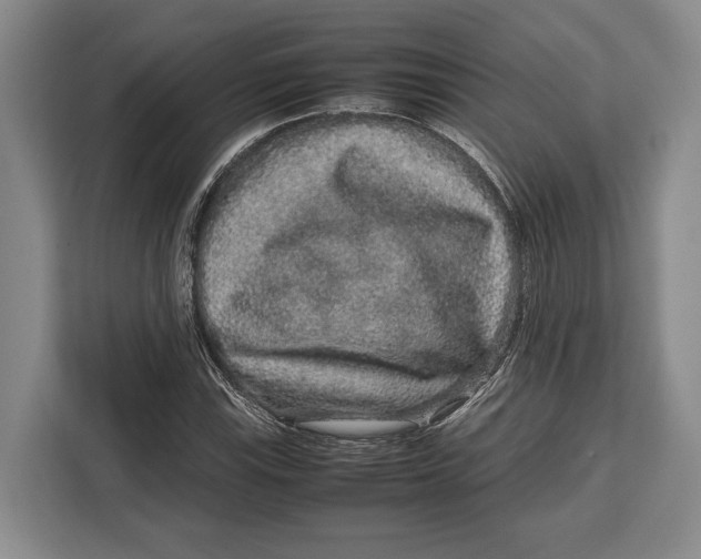 X0000113041115200909171515