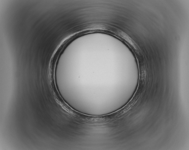 X0000113041116200909171515