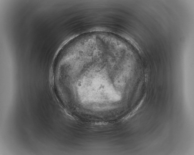X0000113041117200909171515
