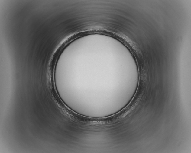 X0000113041118200909171515