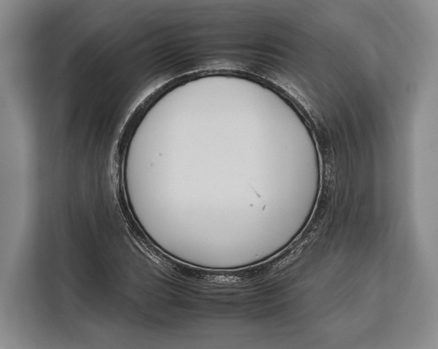 X0000113041119200909171515