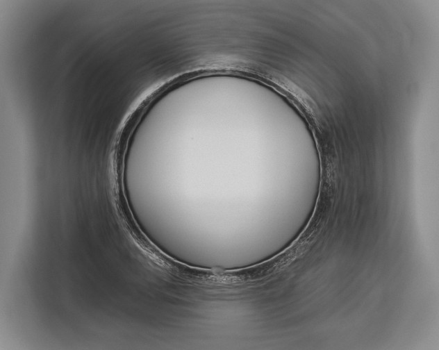 X0000113041120200909171515