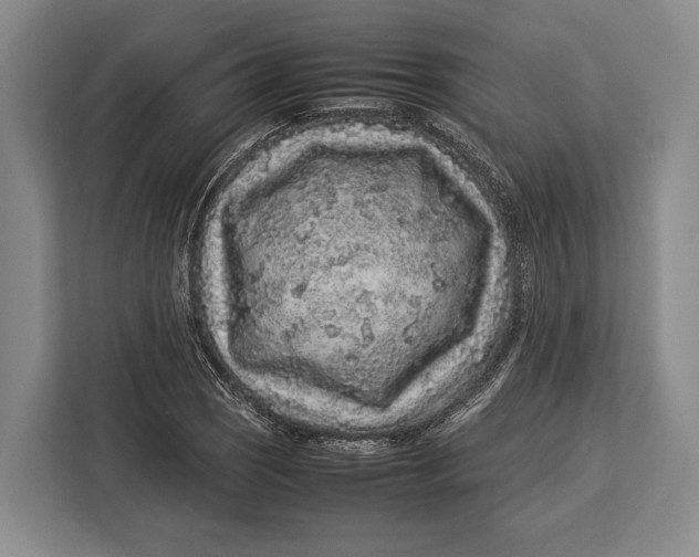 X0000113041121200909171515