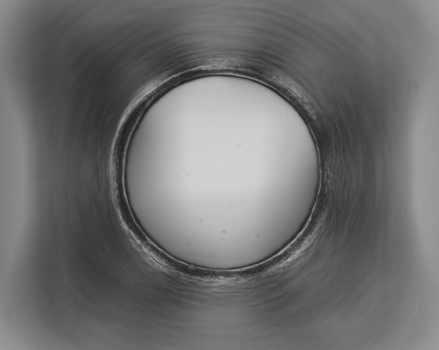 X0000113041122200909171515
