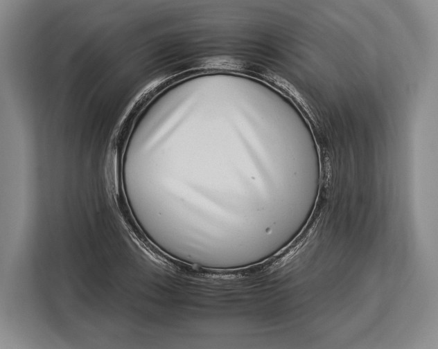 X0000113041123200909171515