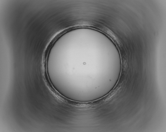 X0000113041124200909171515