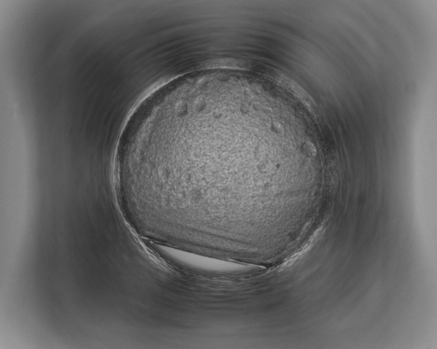 X0000113041125200909171515