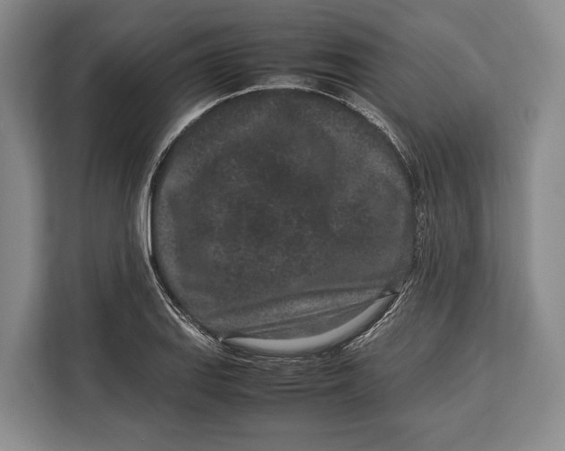 X0000113041127200909171515