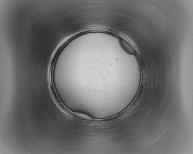 X0000113041128200909171515
