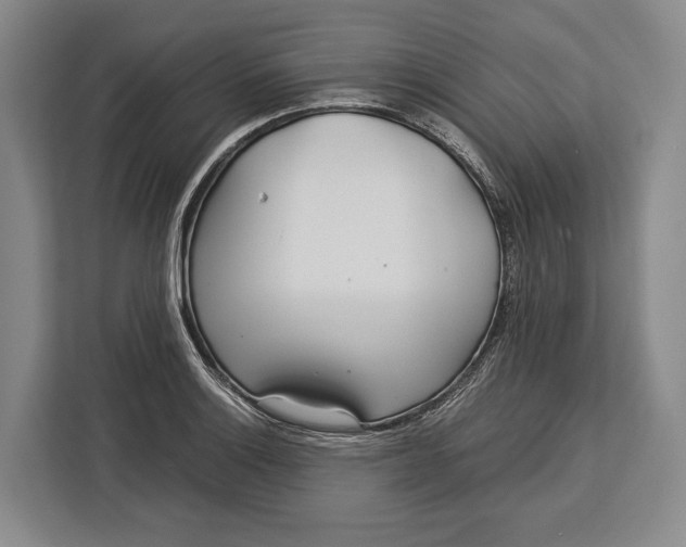 X0000113041132200909171516