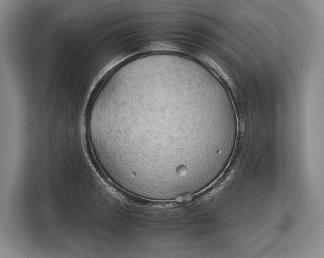 X0000113041133200909171516