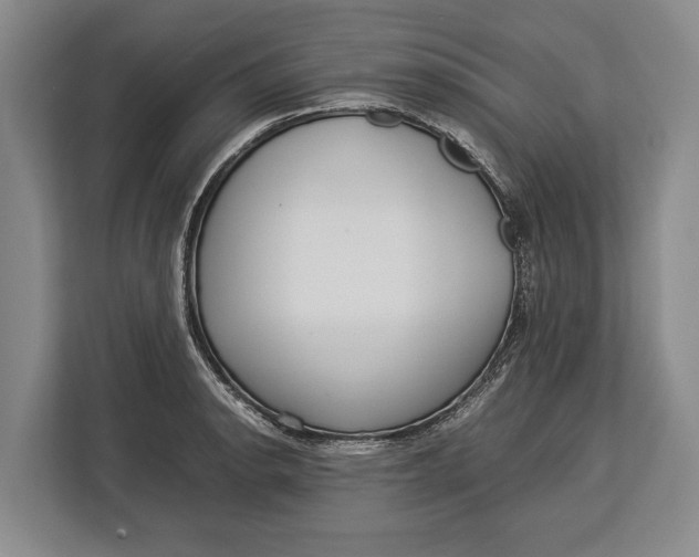 X0000113041134200909171516