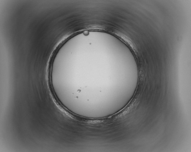 X0000113041135200909171516