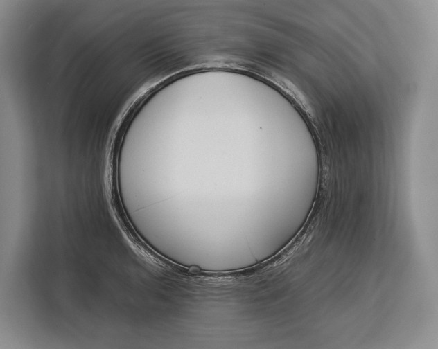 X0000113041136200909171516