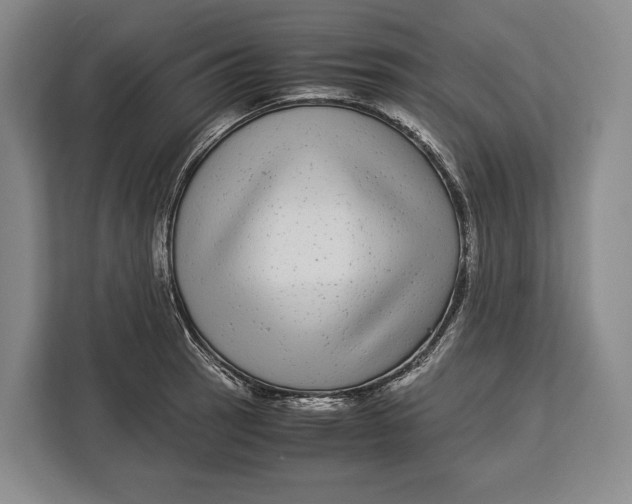 X0000113041137200909171516