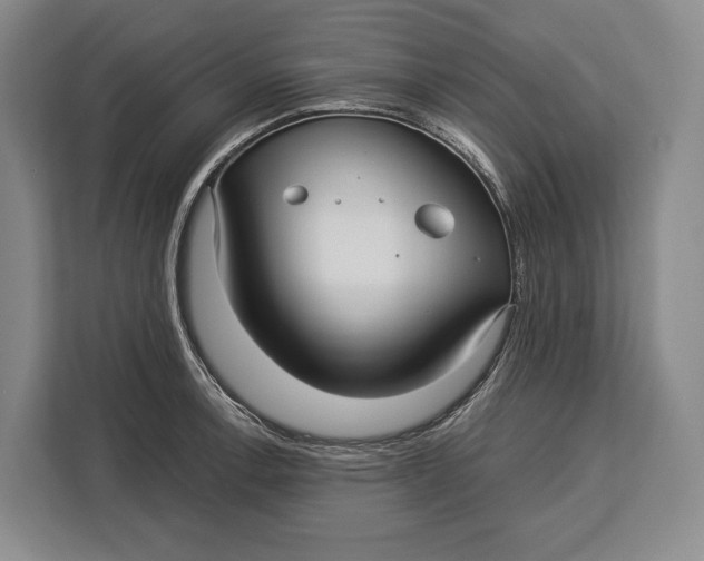 X0000113041138200909171516