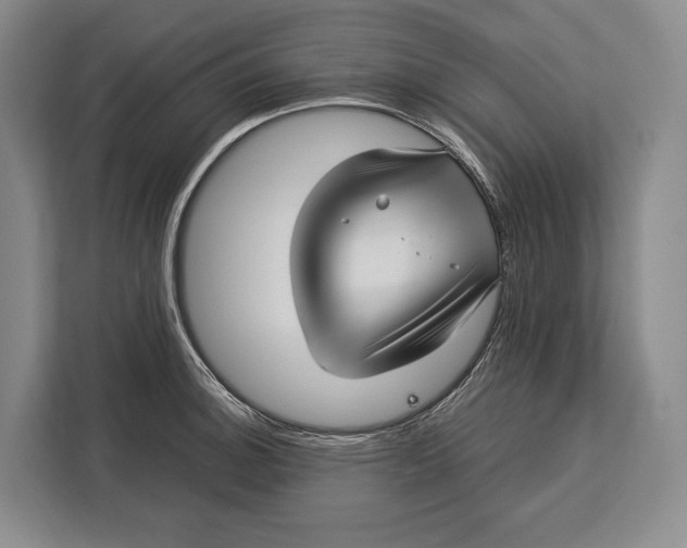 X0000113041140200909171516