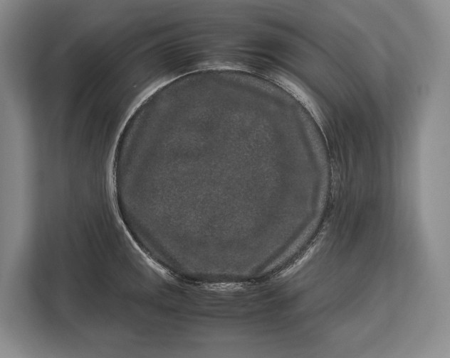 X0000113041141200909171516