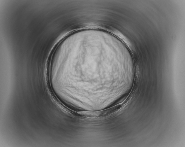 X0000113041142200909171516