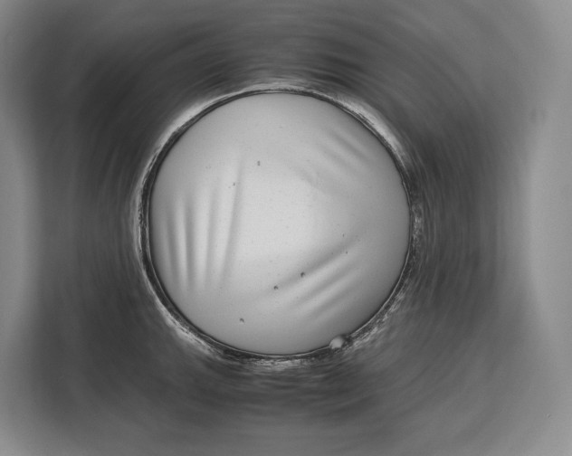 X0000113041143200909171516
