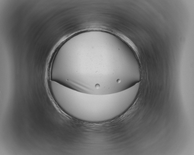 X0000113041144200909171516