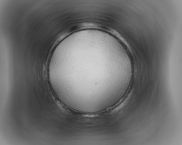 X0000113041145200909171516