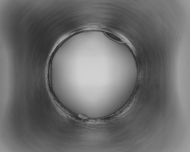 X0000113041146200909171516