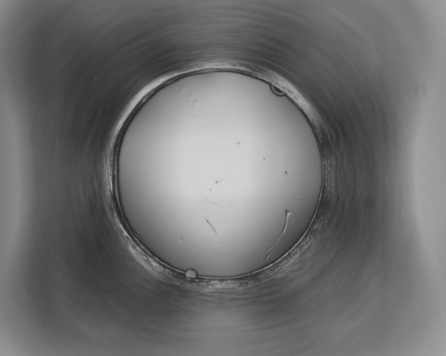 X0000113041148200909171516