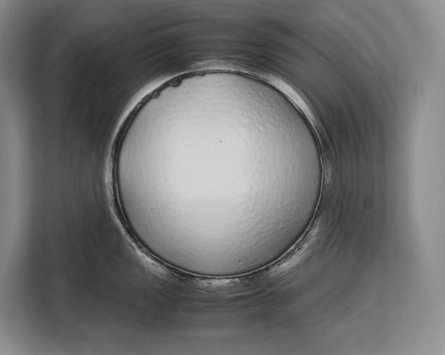X0000113041149200909171516