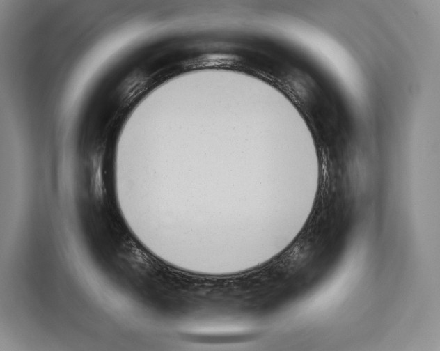 X0000113041150200909171516