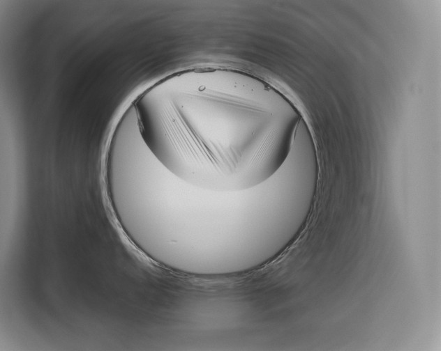 X0000113041152200909171516