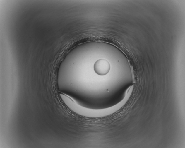 X0000113041153200909171515