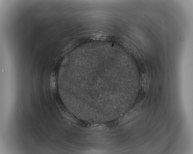 X0000113041154200909171515