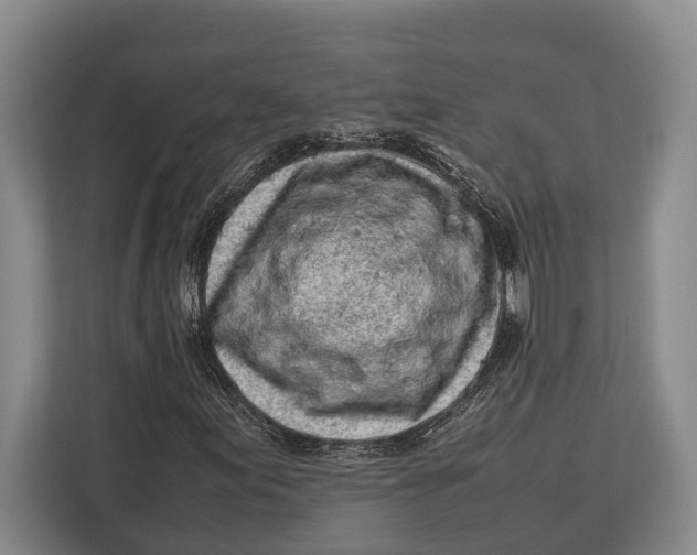 X0000113041155200909171515