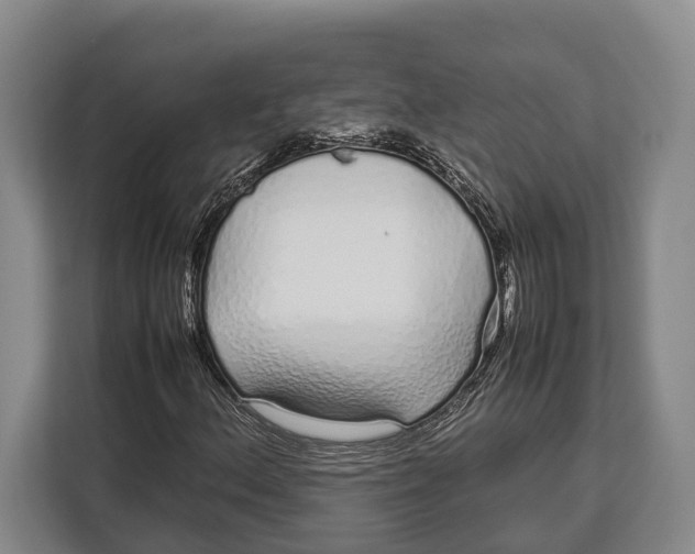 X0000113041156200909171515