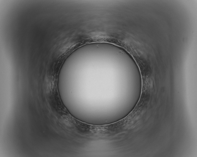 X0000113041157200909171515