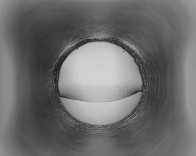 X0000113041160200909171515