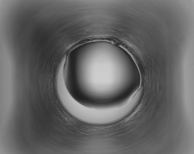 X0000113041161200909171515