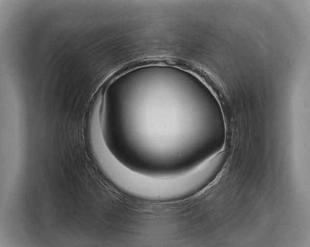 X0000113041162200909171515