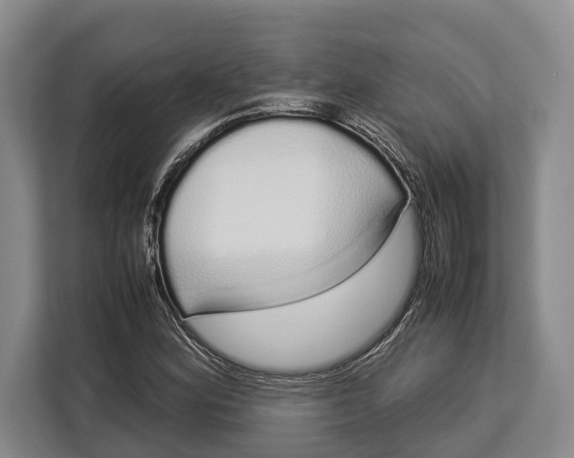 X0000113041164200909171515