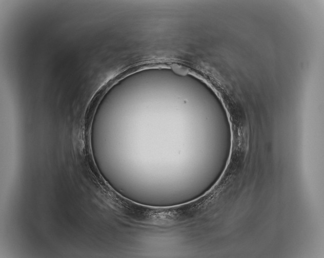 X0000113041165200909171515