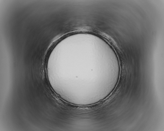 X0000113041168200909171515