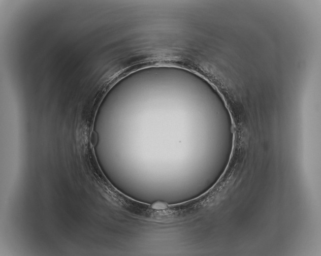 X0000113041169200909171515
