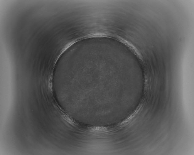 X0000113041170200909171515