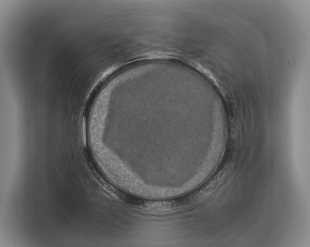 X0000113041171200909171515