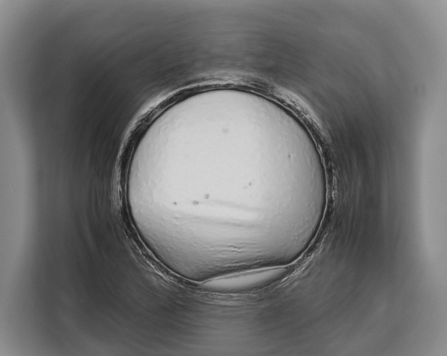 X0000113041172200909171515