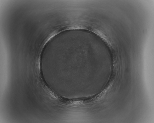 X0000113041173200909171515