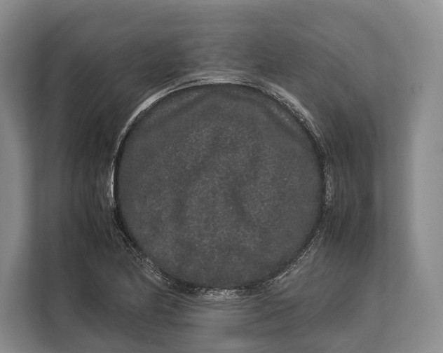 X0000113041174200909171515
